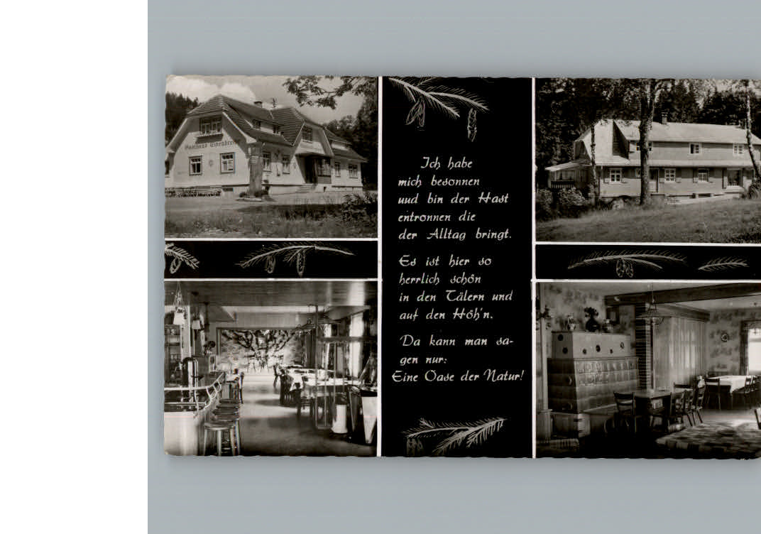 Blasiwald Pension Haus Streck Gasthaus EIsenbreche