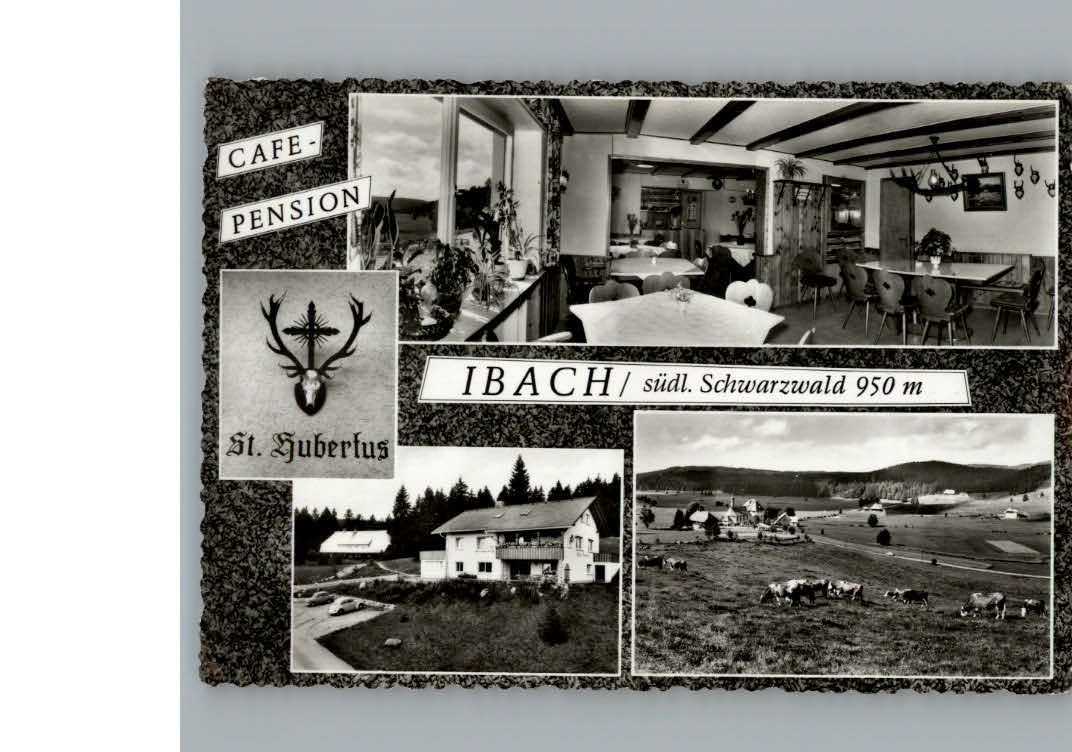 Ibach St Blasien Cafe Pension St. Hubertus