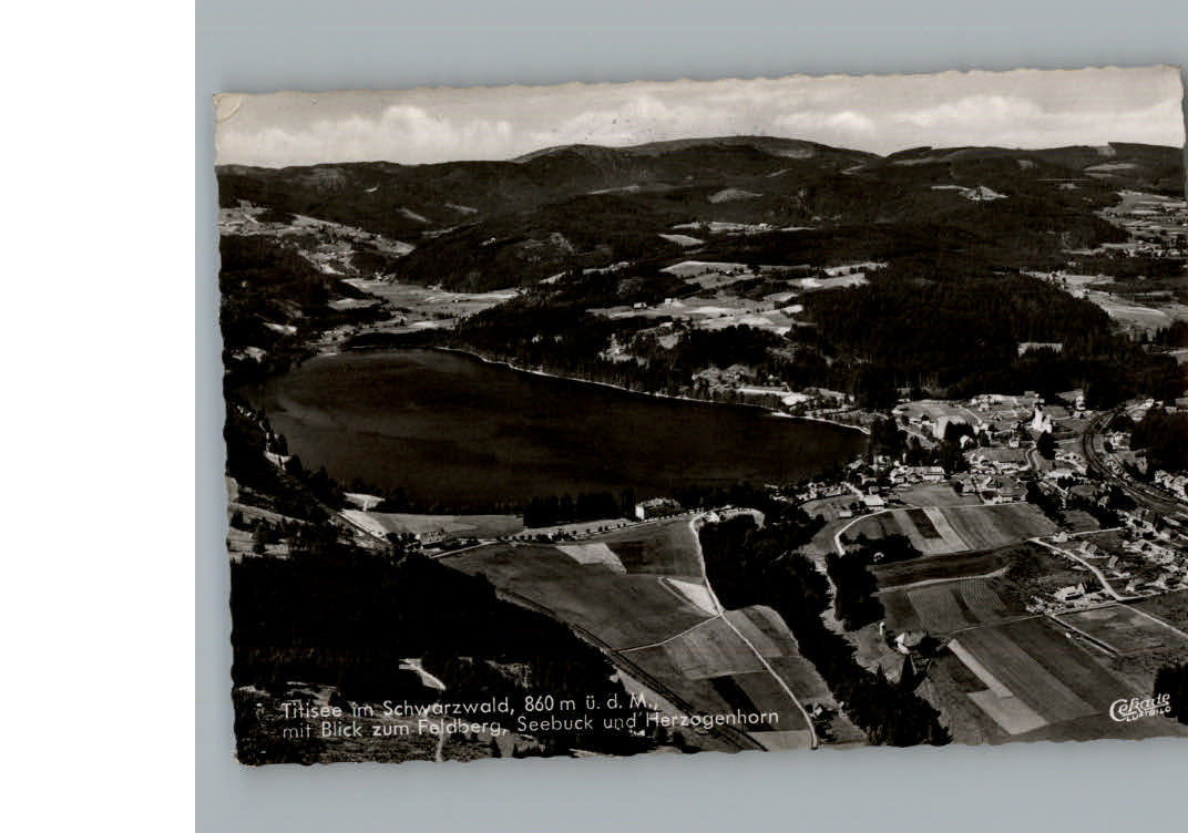 Titisee Fliegeraufnahme