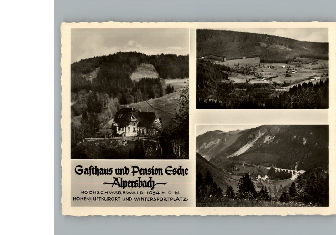 Hinterzarten Gasthaus Pension Esche, Alpersbach