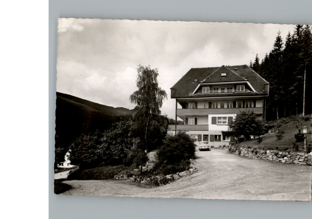 Titisee-Neustadt Pension Sonnhalde