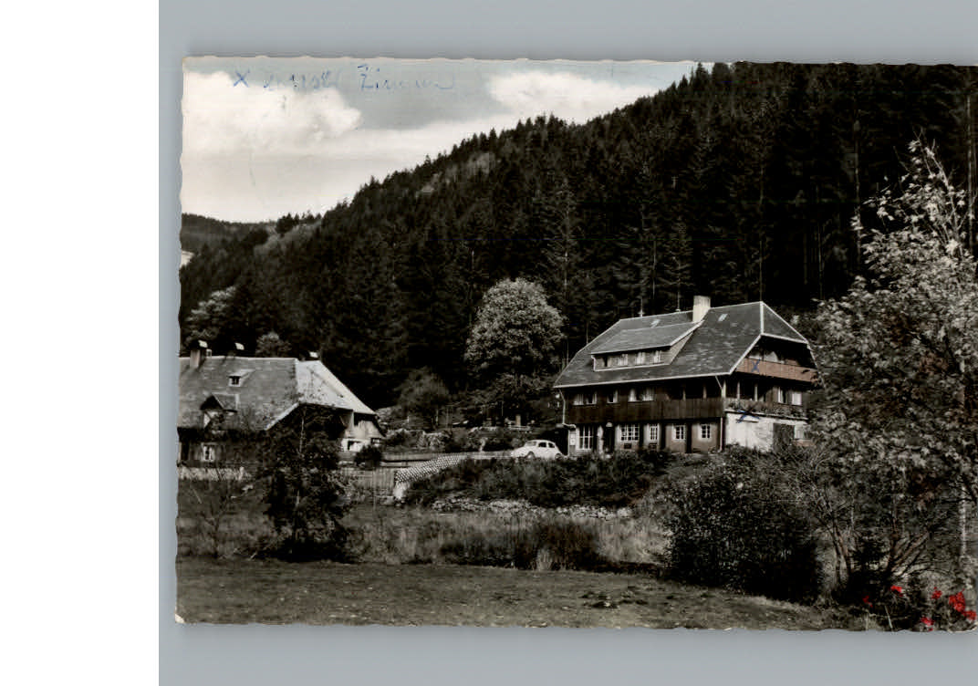 Menzenschwand Pension Haus Richard Schaeuble