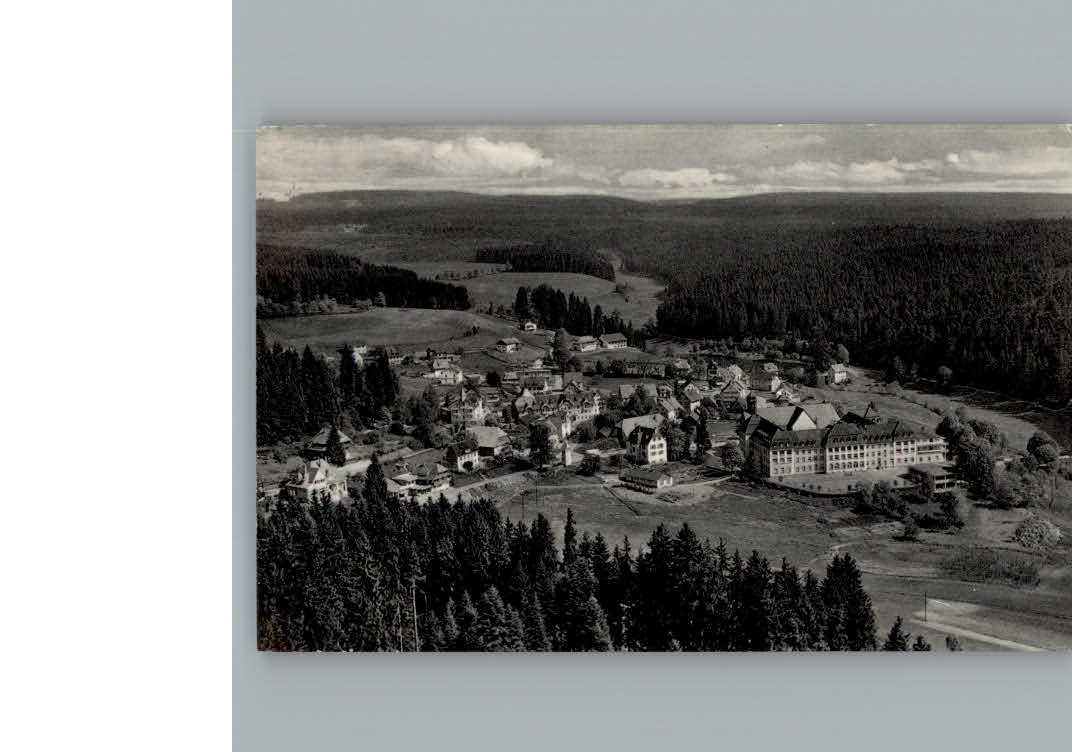 Friedenweiler Fliegeraufnahme