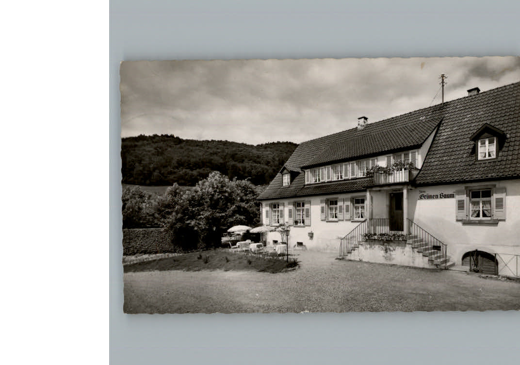 Sehringen Gasthaus zum gruenen Baum