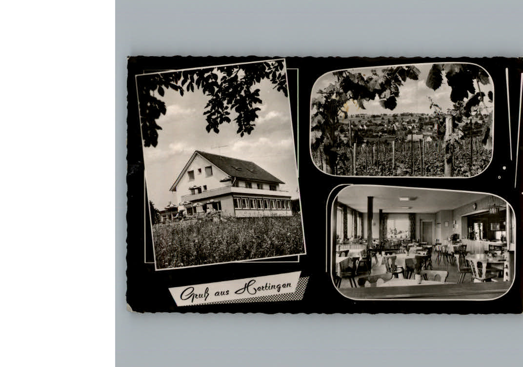 Hertingen Bad Bellingen Gasthaus-Pension Hebelhof