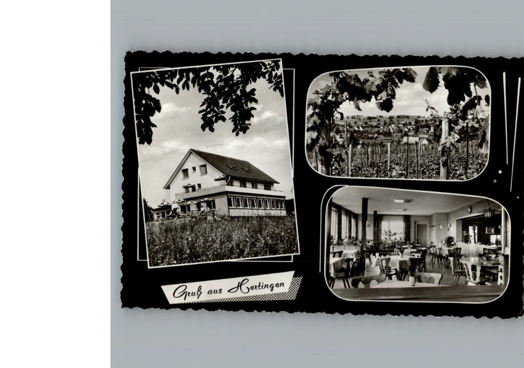 Hertingen Bad Bellingen Gasthaus-Pension Hebelhof