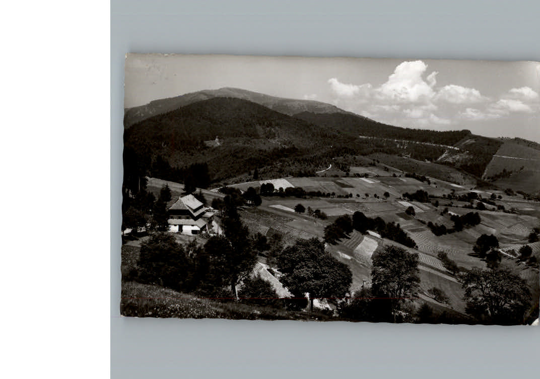 Schoenau Schwarzwald Gasthaus Pension Haldenhof