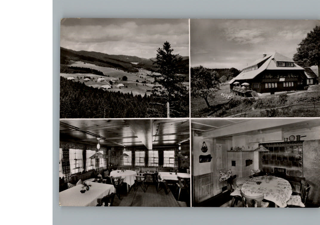 Todtnauberg Pension Dreimaedelhaus