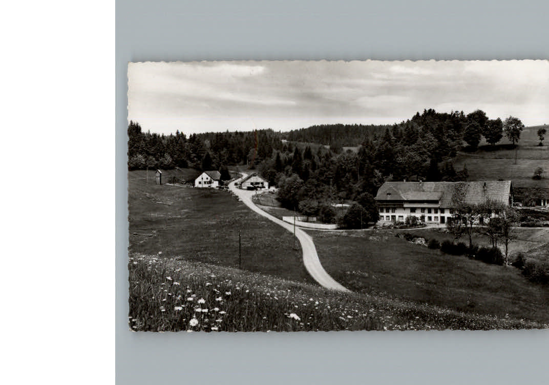 Hottingen Gasthof Pension Wickartsmuehle