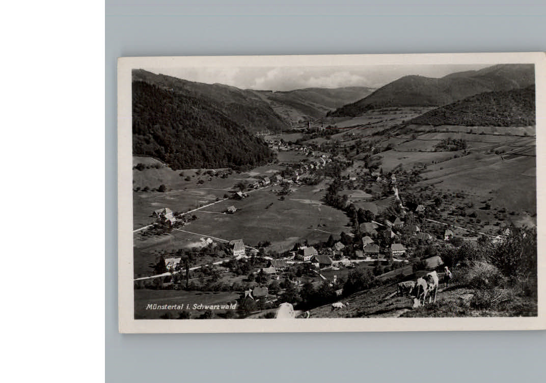 Muenstertal Schwarzwald