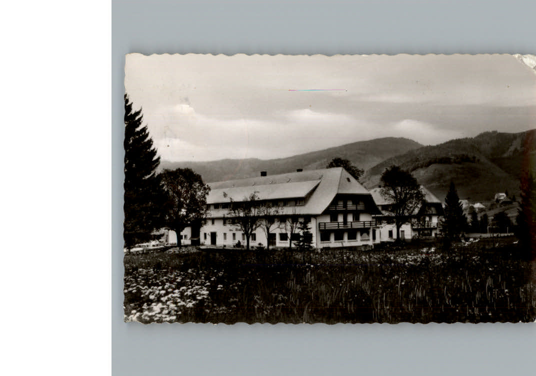 Bernau Schwarzwald Gasthof Roessle