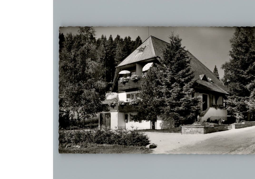 Hinterzarten Pension Windeck