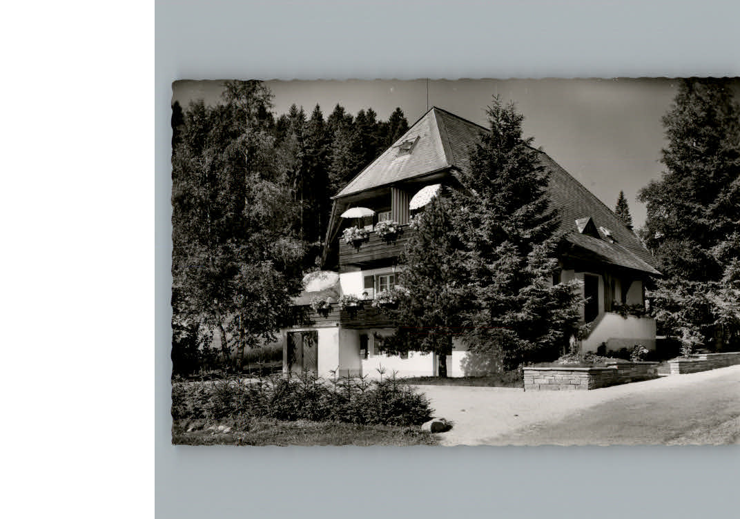 Hinterzarten Pension Haus Windeck