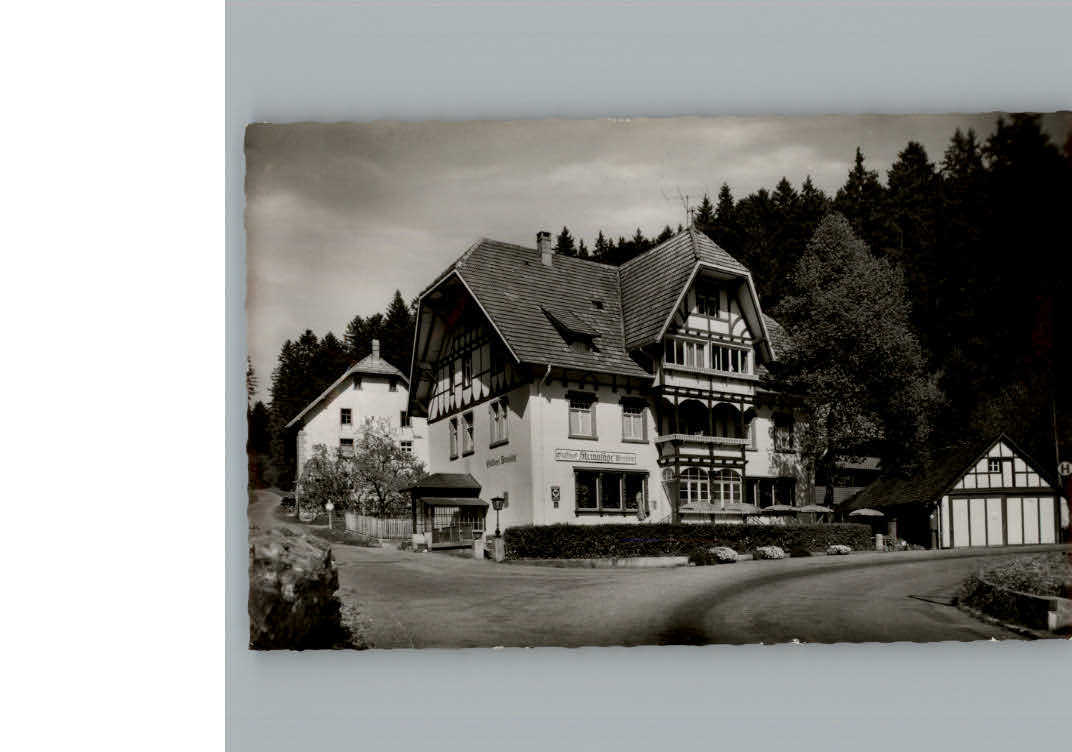 Bonndorf Schwarzwald Gasthof Steinasaege