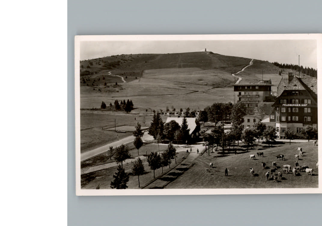 Feldberg Schwarzwald Hotel Feldbergerhof