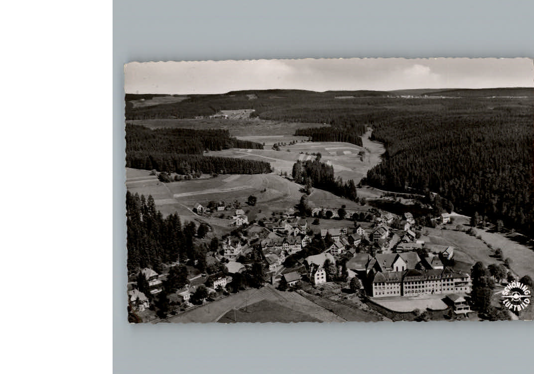 Friedenweiler Fliegeraufnahme