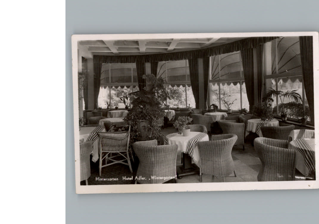 Hinterzarten Hotel Adler