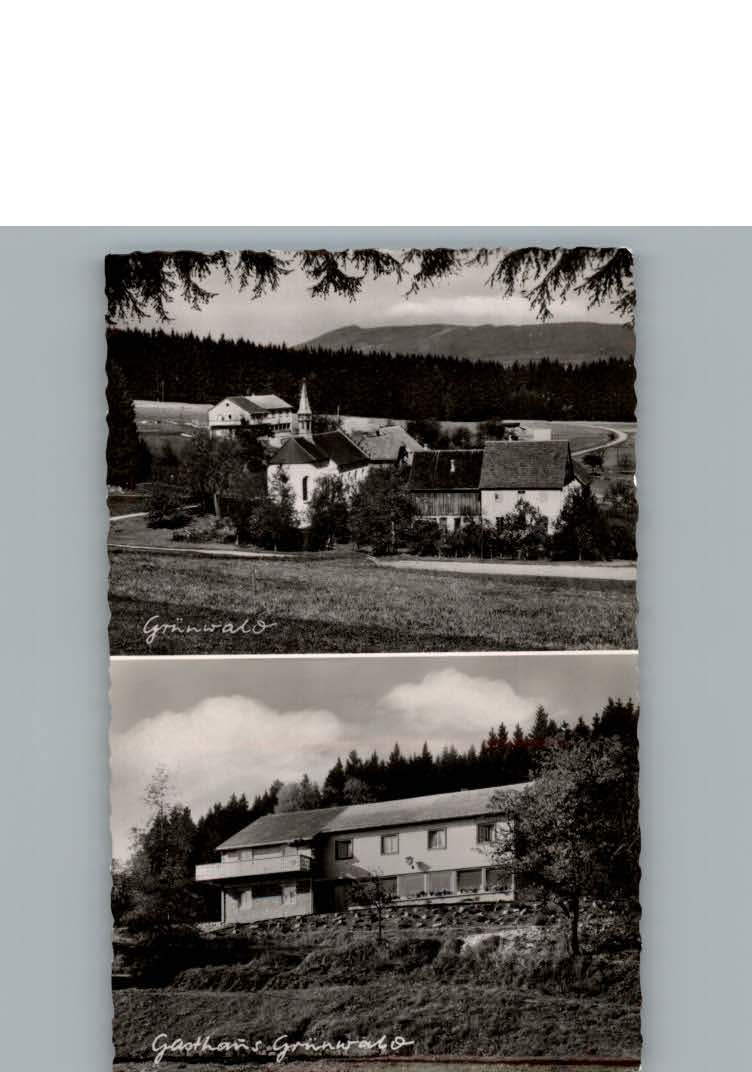 Gruenwald Muenchen Gasthaus Gruenwald