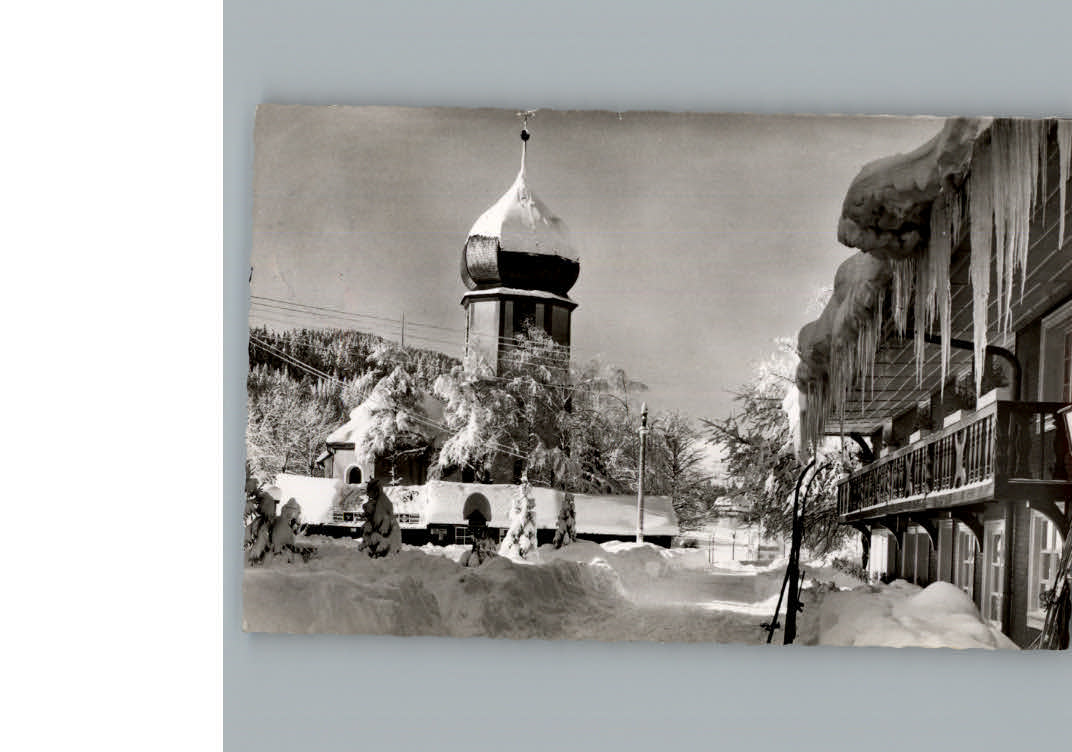 Hinterzarten Hotel Alder