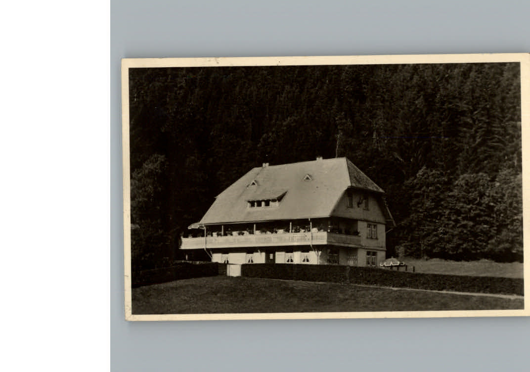 Hinterzarten Haus Wolfsnest