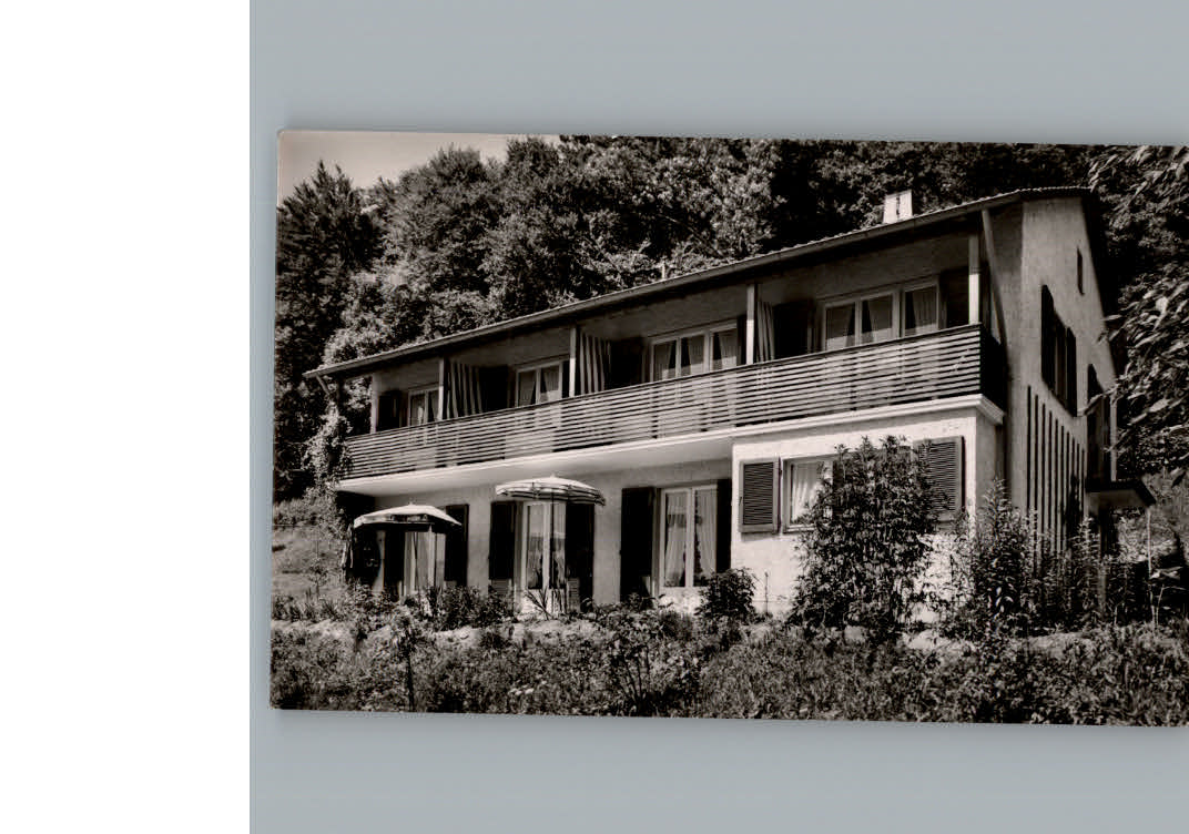 Sehringen Haus Sonnenblume