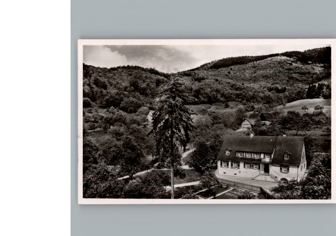 Sehringen Gasthaus zum gruenen Baum