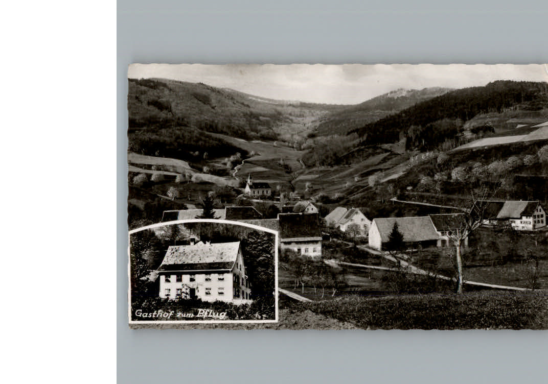 Endenburg Gasthof zum Pflug