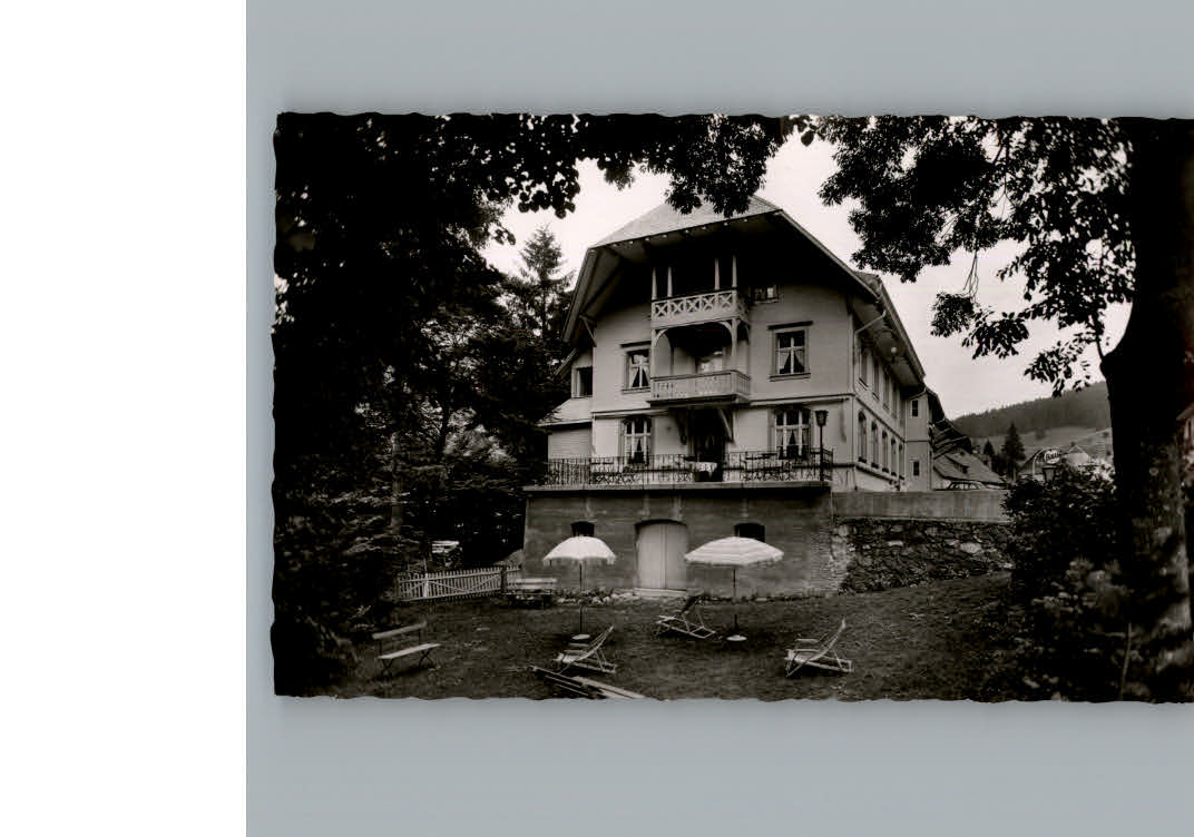 Muggenbrunn Gasthof gruener Baum