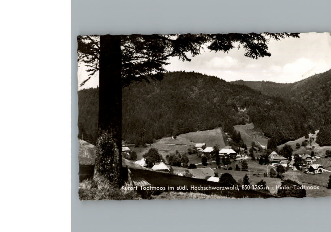 Todtmoos