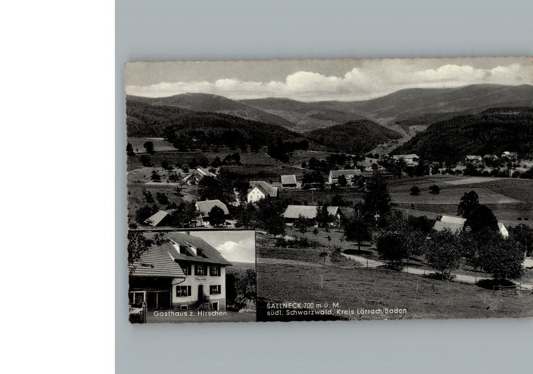 Sallneck Gasthaus zum Hirschen