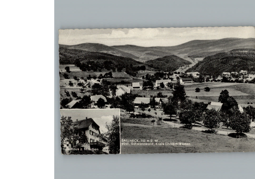 Sallneck Gasthaus zum Hirschen