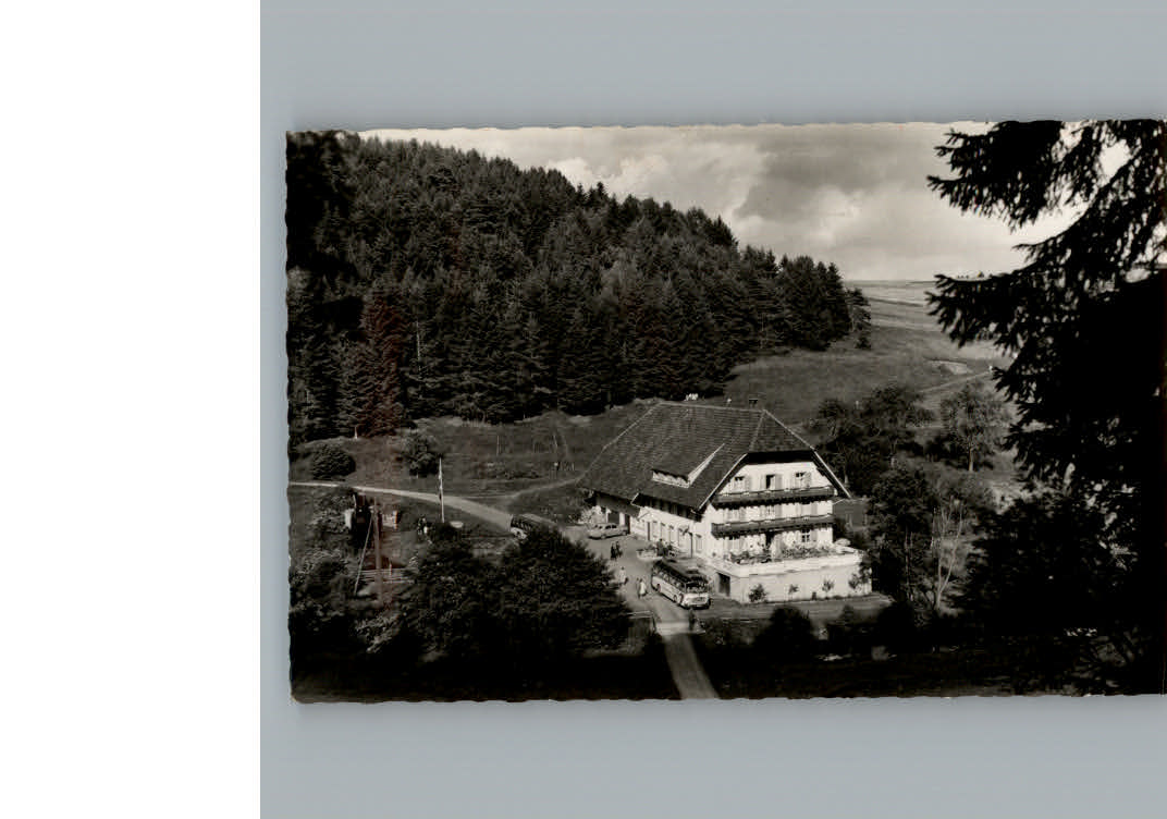 Grafenhausen Schwarzwald Hotel Schluchtmuehle