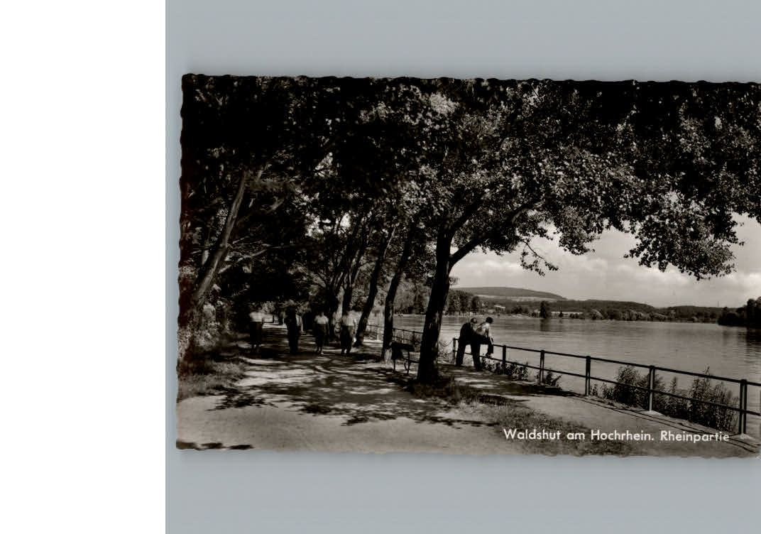 Waldshut Tiengen Rhein