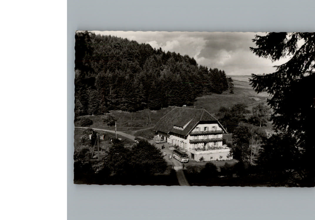 Grafenhausen Schwarzwald Hotel Schluchtmuehle