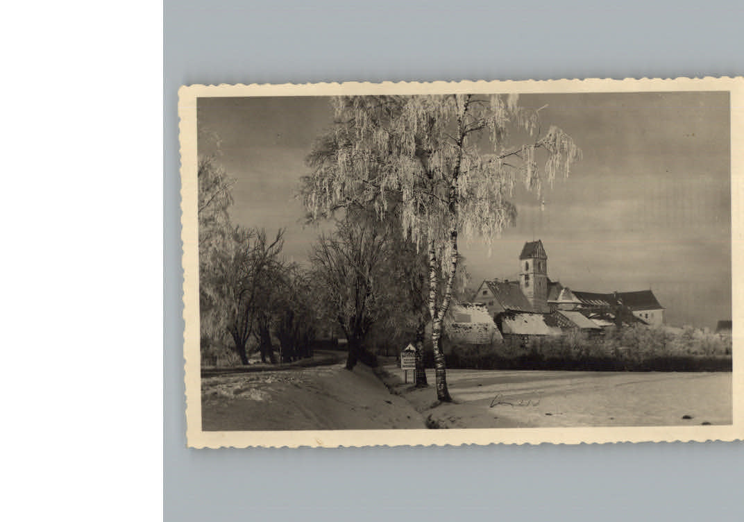 Bad Buchau Federsee Winter