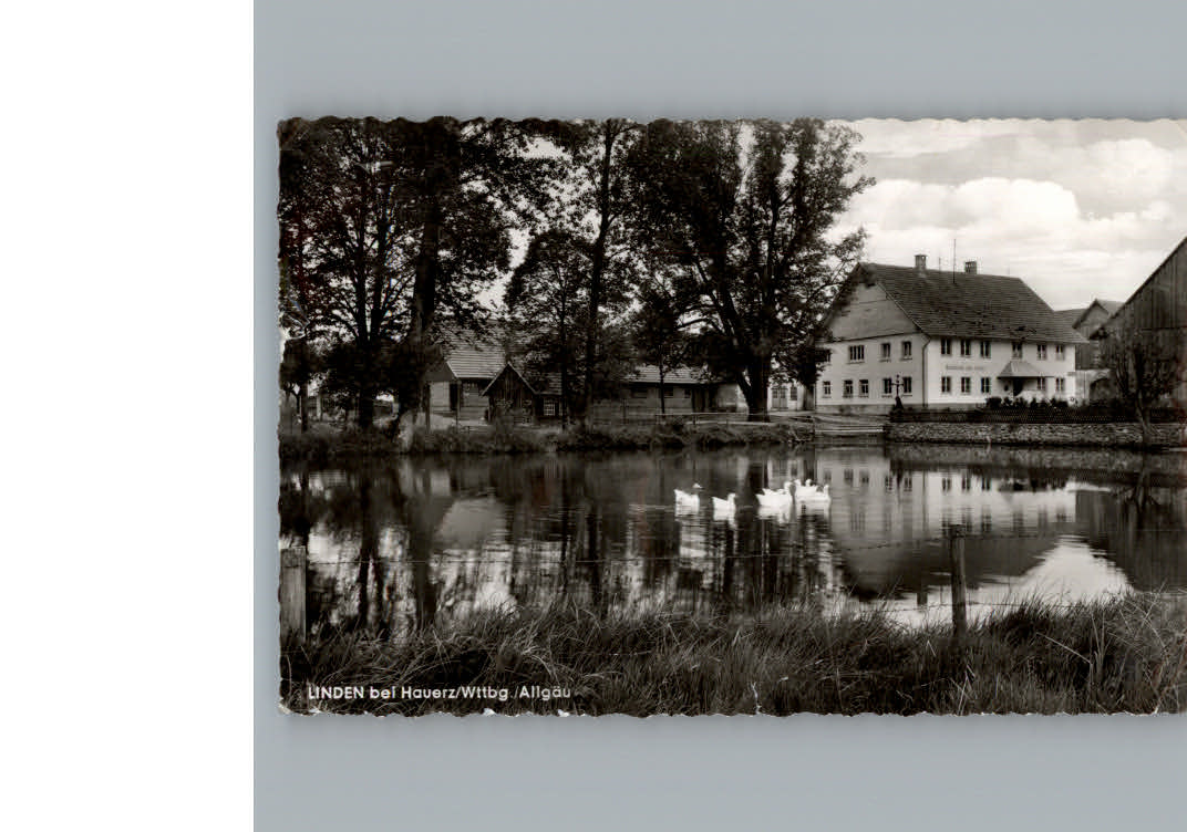 Linden Bad Wurzach Gasthof zur Linde