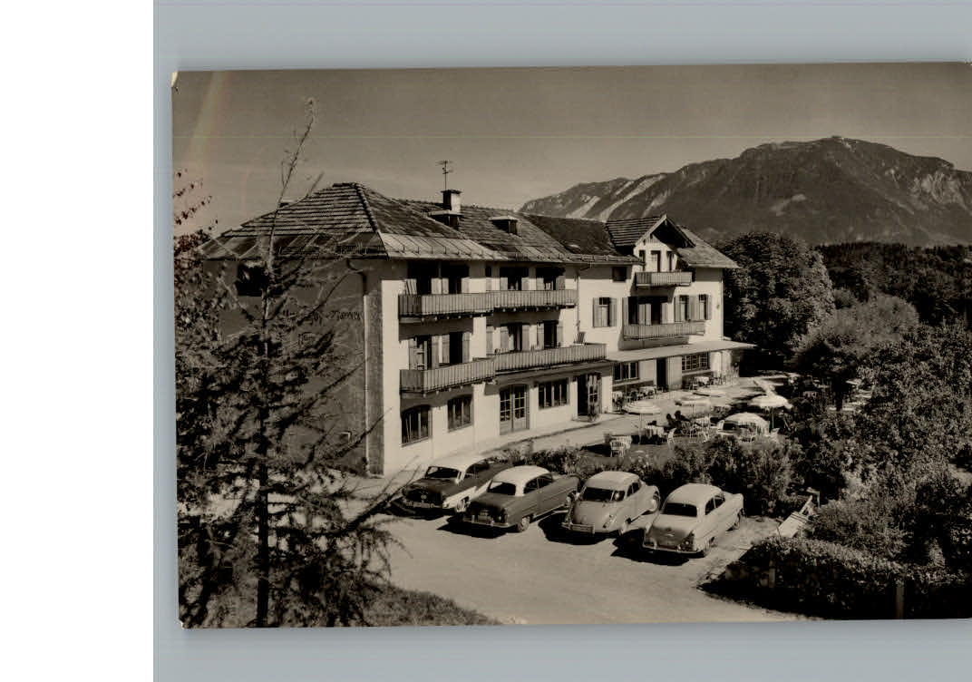 Bad Reichenhall Alpenhof Graue Katz