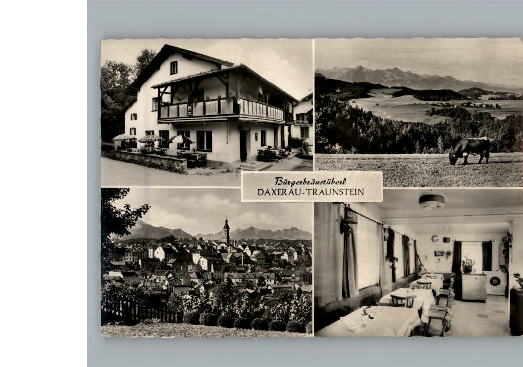 Traunstein Oberbayern Buergerbraeustueberl Daxerau