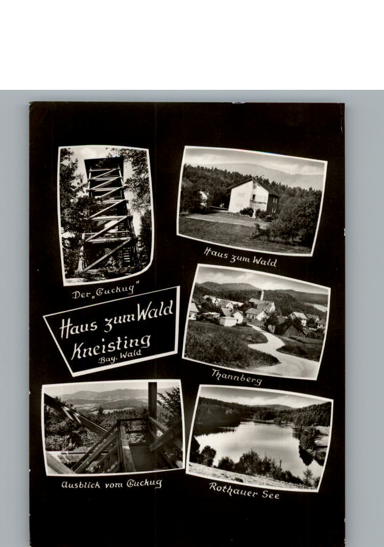 Kneisting See Haus zum Wald