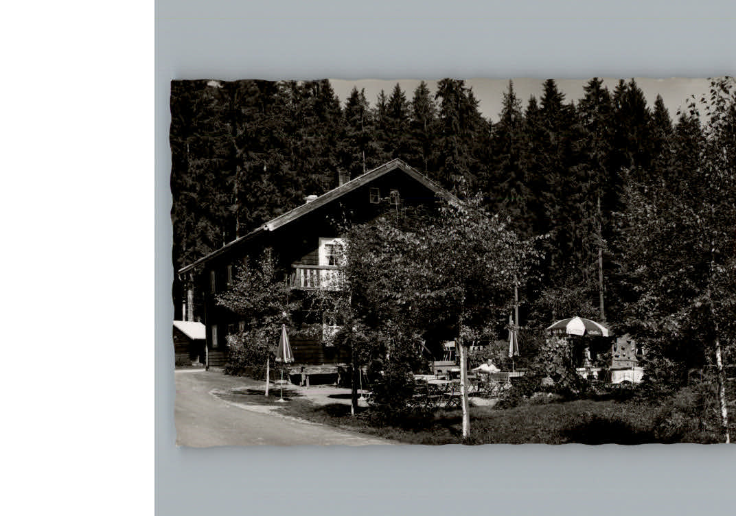 Zwieslerwaldhaus Schwellhaeusl