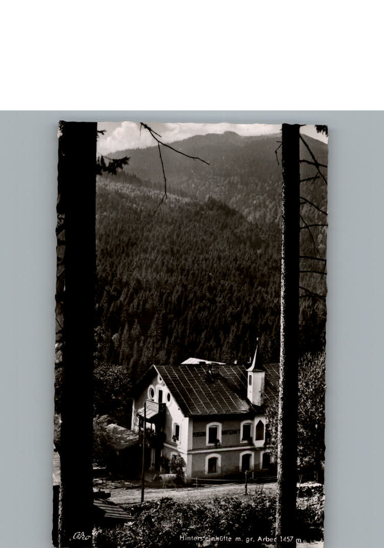 Bayerisch Eisenstein Gasthaus und Pension Hintersteinhuette