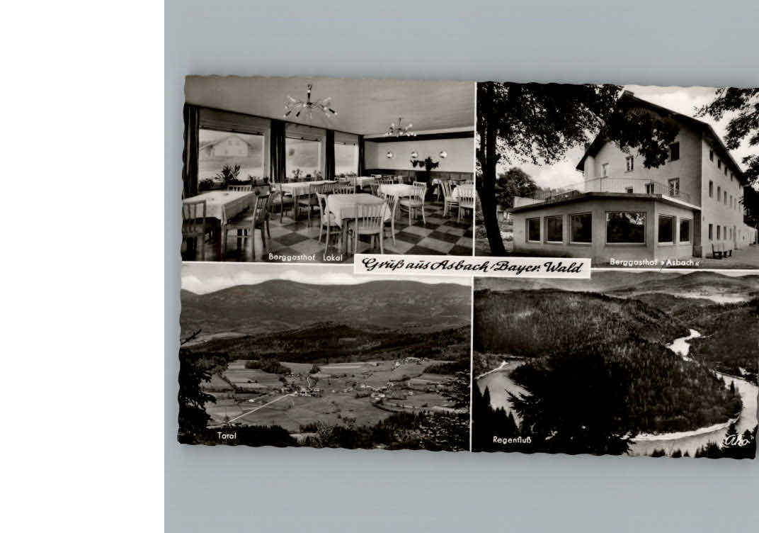 Asbach Viechtach Berggasthof Pension Asbach