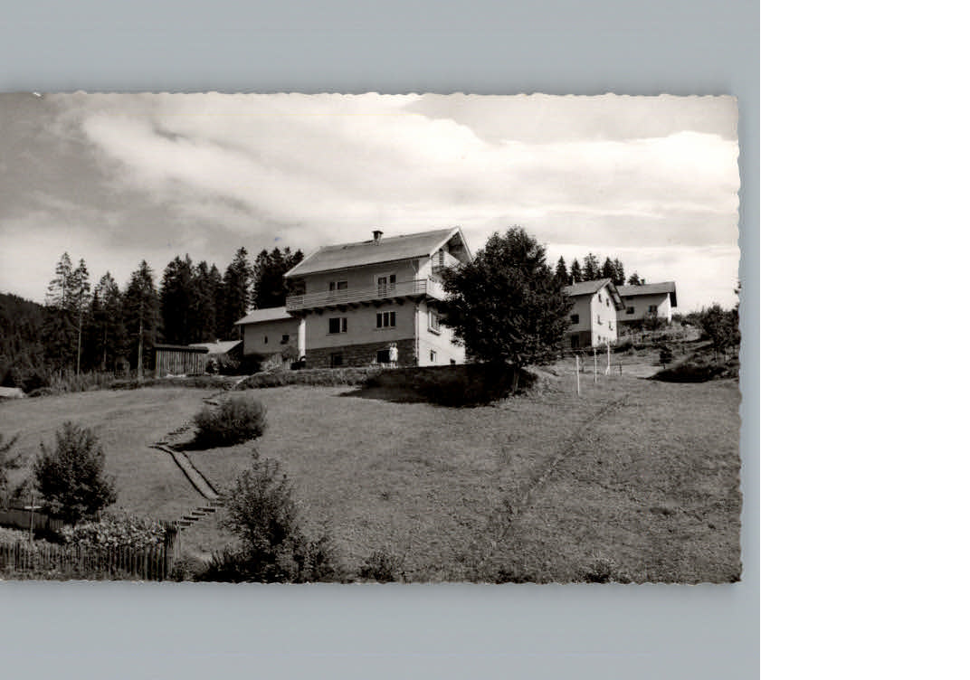 Bodenmais Berliner Baer