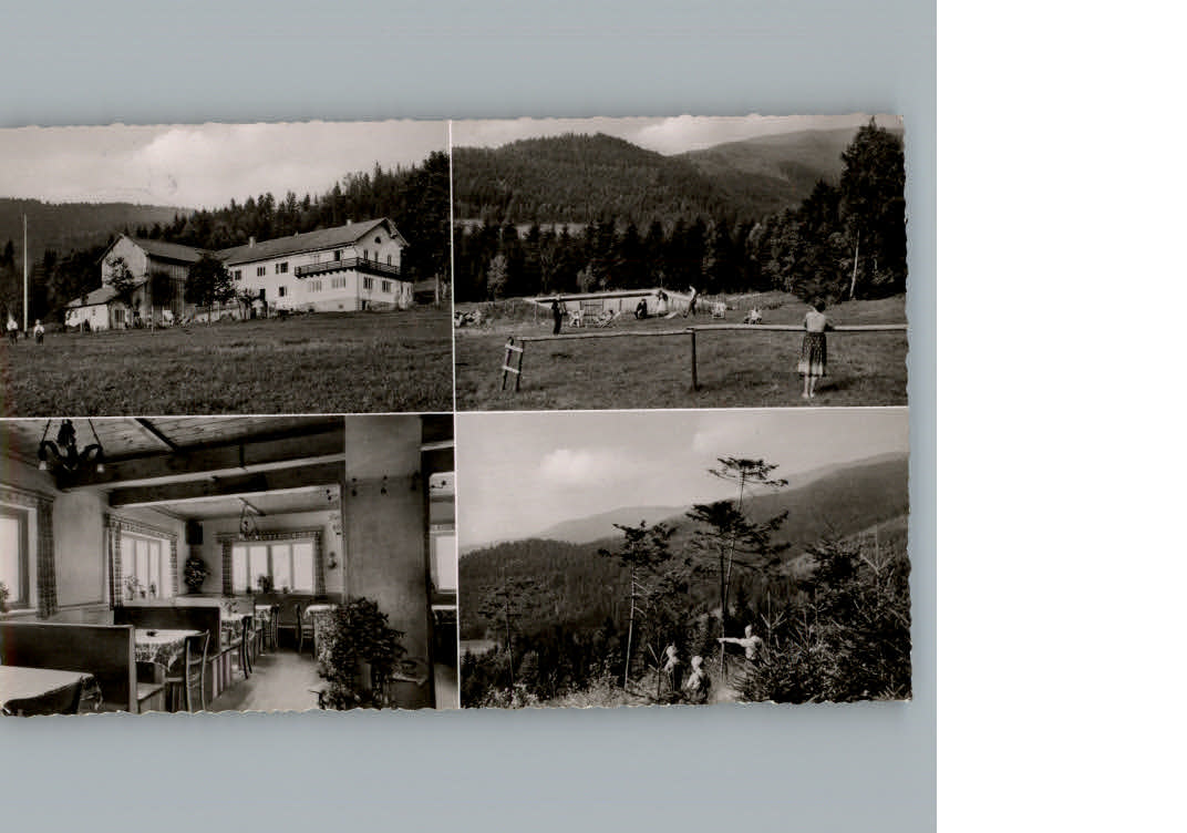 Bodenmais Pension riedlberg