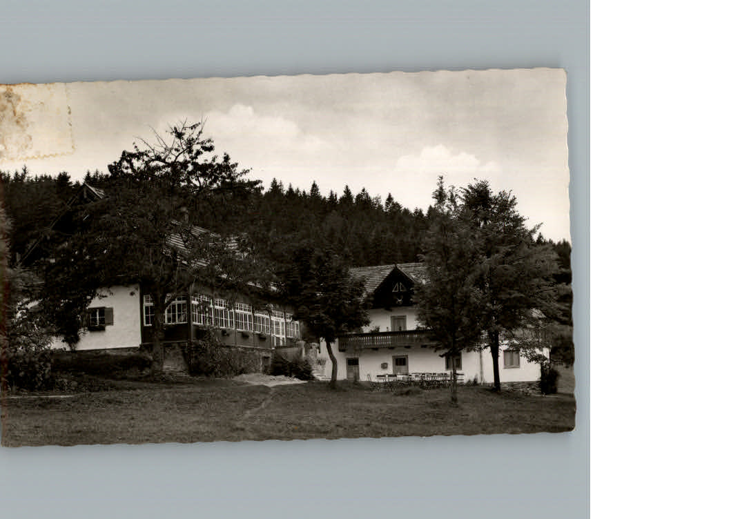 Rabenstein Zwiesel Gaststaette Pension Waldesruh