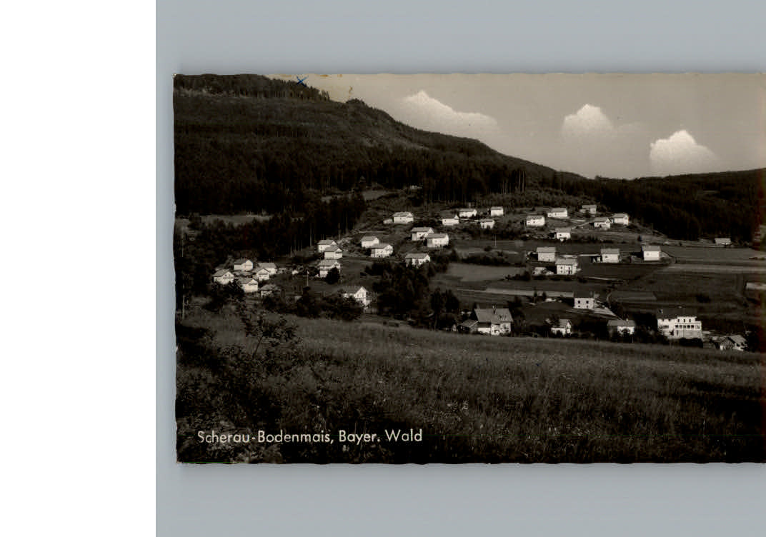 Bodenmais Scherau