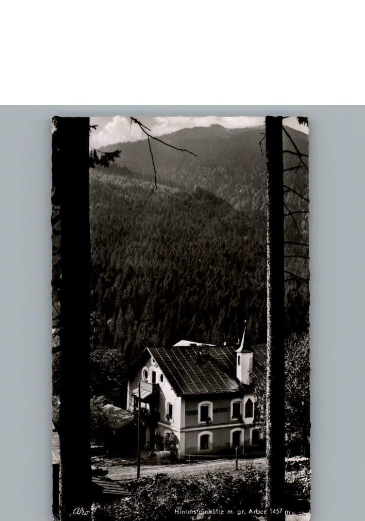 Bayerisch Eisenstein Gasthaus-Pension Hintersteinhuette