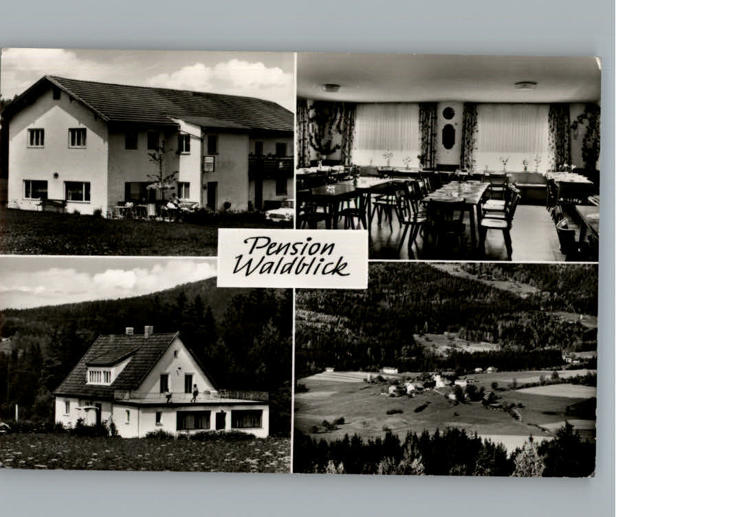 Auerkiel Viechtach Pension Waldblick