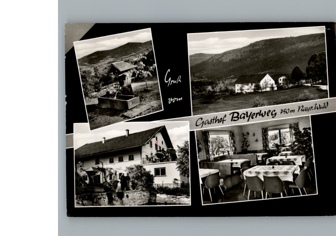 Kollnburg Gasthof Bayerweg