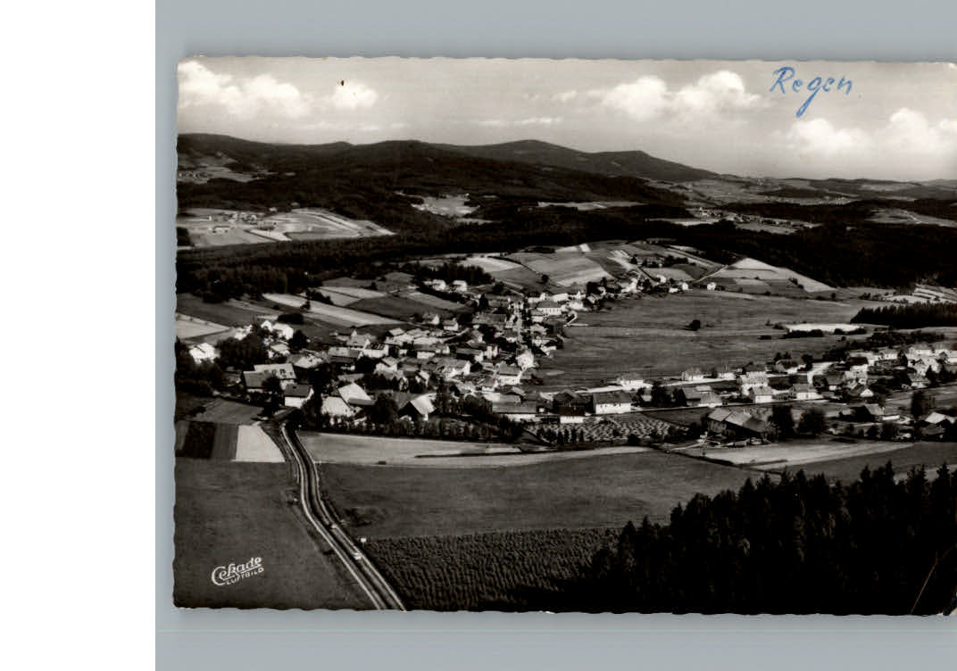 Langdorf Regen Fliegeraufnahme